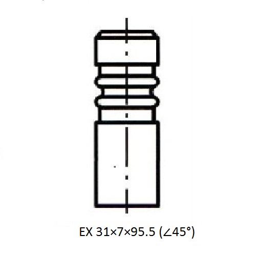 Z17495R — ZIKMAR — Клапан ДВС