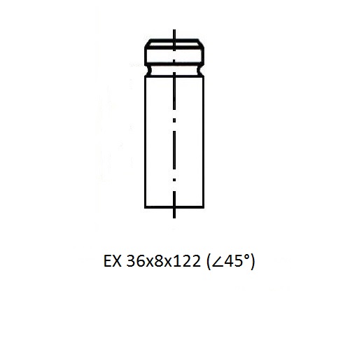 Z17573R — ZIKMAR — Клапан ДВС