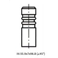 Z17579R — ZIKMAR — Клапан ДВС