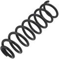 Z48295R — ZIKMAR — Пружина подвески передней