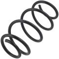 Z48545R — ZIKMAR — Пружина подвески передней 